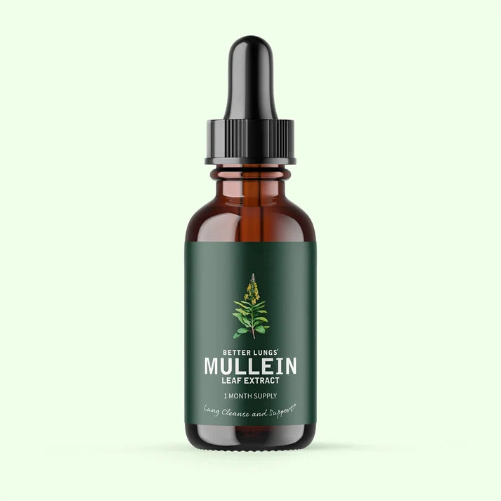 Zindory® – Mullein Extract