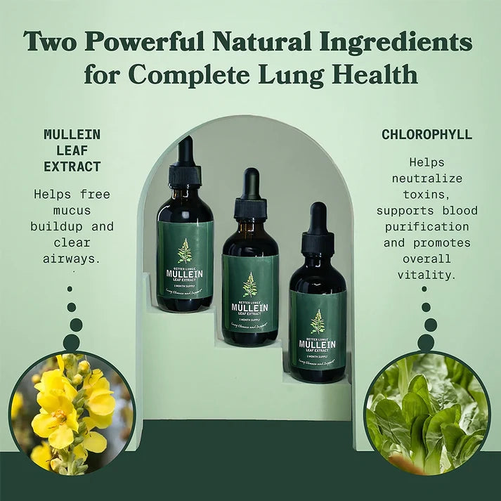 Zindory® – Mullein Extract