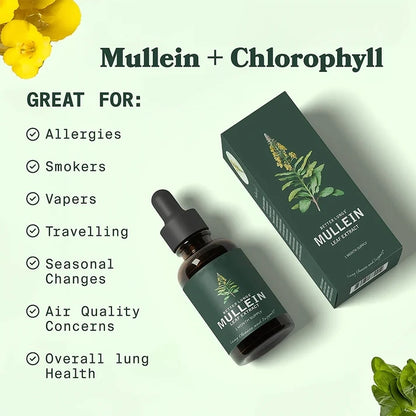 Zindory® – Mullein Extract